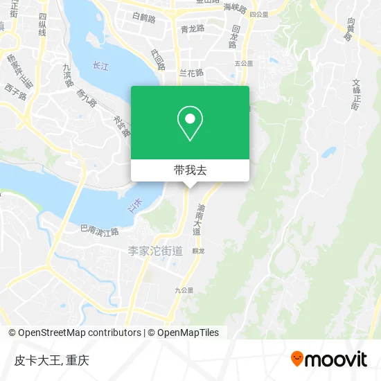 皮卡大王地图