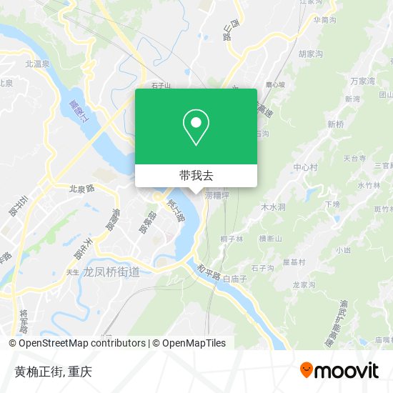 黄桷正街地图