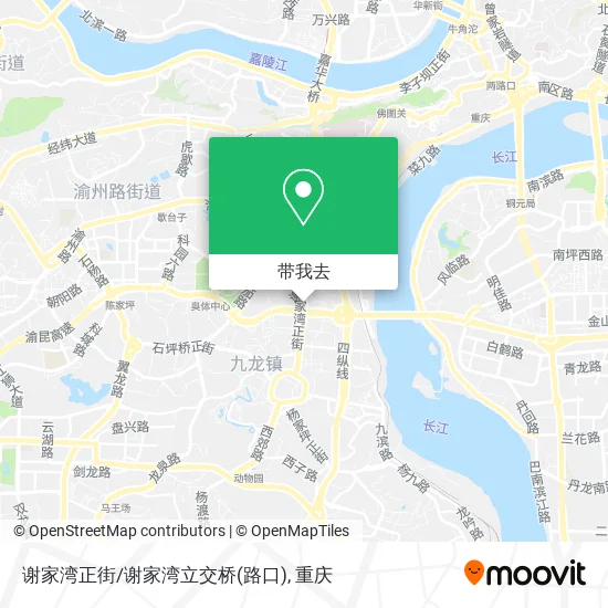 谢家湾正街/谢家湾立交桥(路口)地图