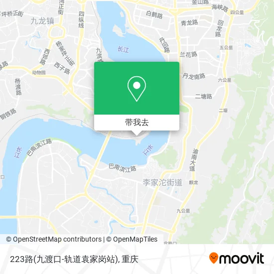 223路(九渡口-轨道袁家岗站)地图