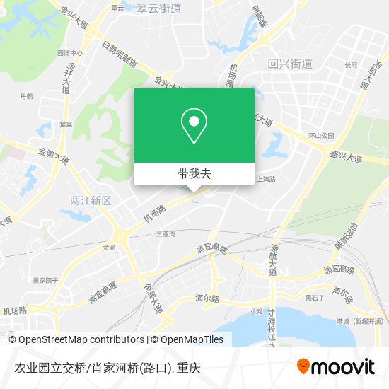农业园立交桥/肖家河桥(路口)地图