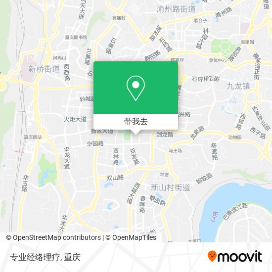 专业经络理疗地图