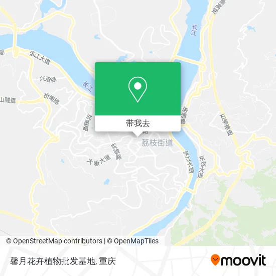 馨月花卉植物批发基地地图