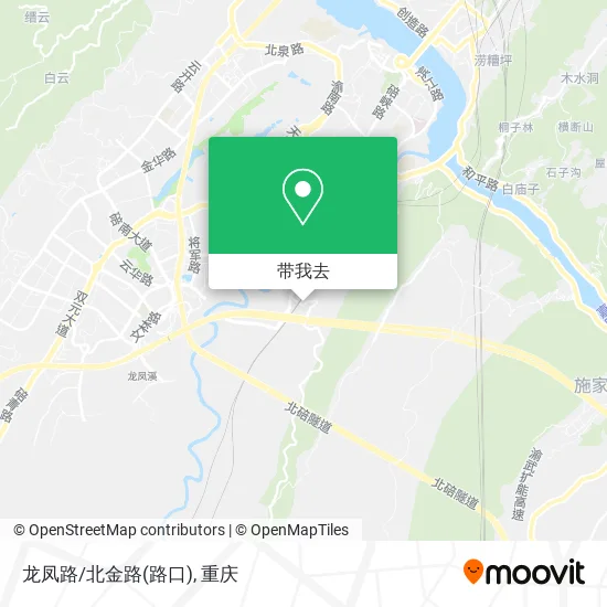 龙凤路/北金路(路口)地图