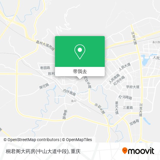 桐君阁大药房(中山大道中段)地图