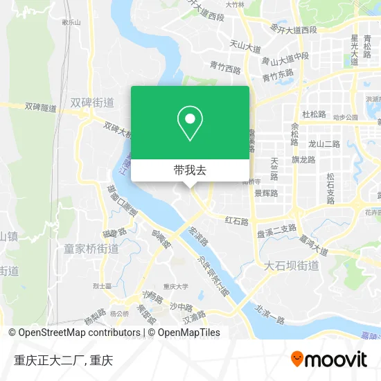 重庆正大二厂地图