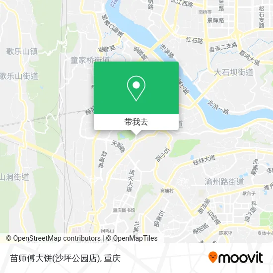 苗师傅大饼(沙坪公园店)地图
