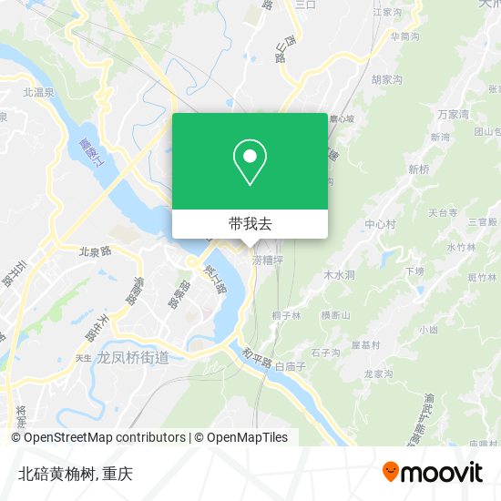 北碚黄桷树地图