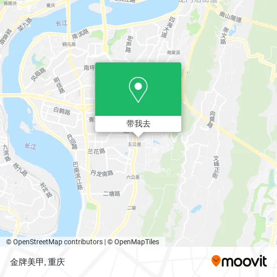 金牌美甲地图