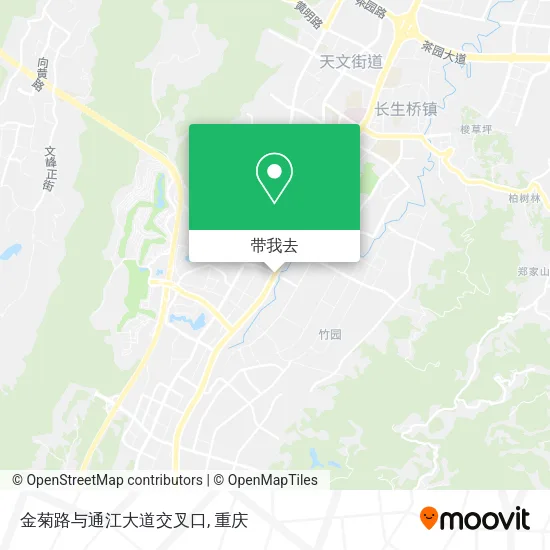 金菊路与通江大道交叉口地图