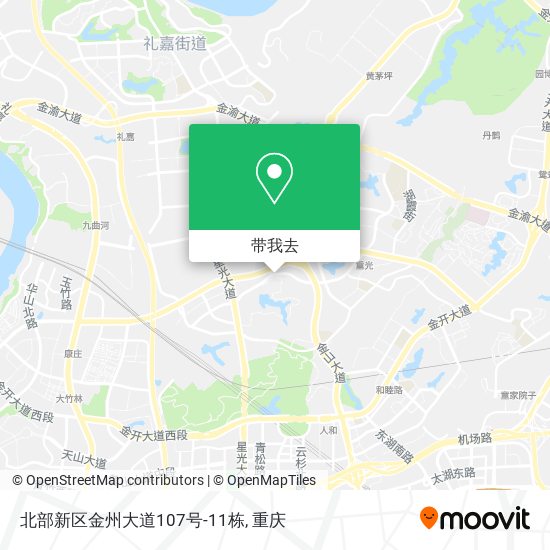 北部新区金州大道107号-11栋地图