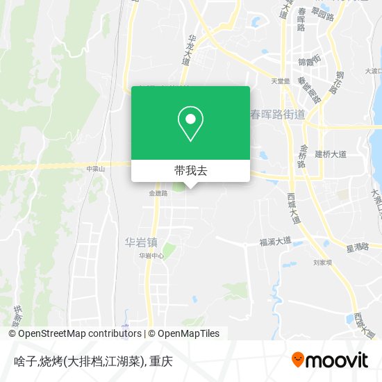 啥子,烧烤(大排档,江湖菜)地图