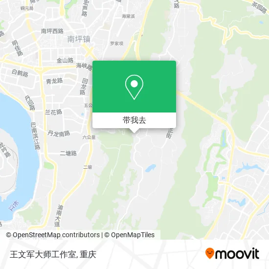 王文军大师工作室地图
