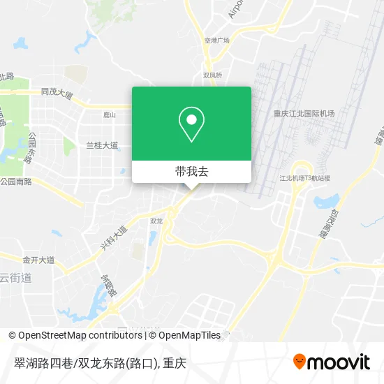 翠湖路四巷/双龙东路(路口)地图