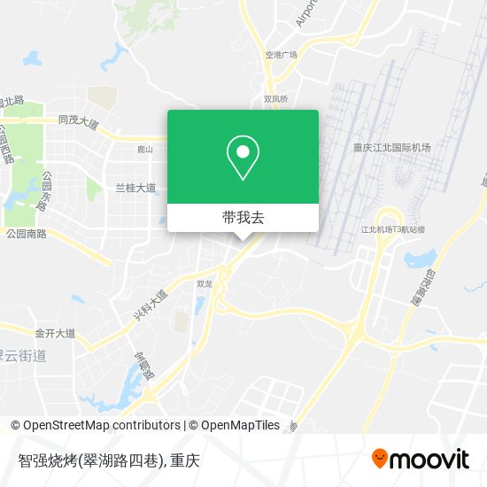 智强烧烤(翠湖路四巷)地图