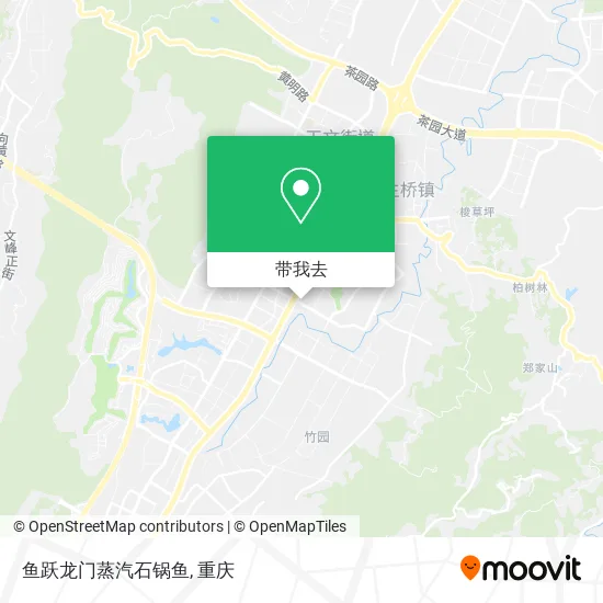 鱼跃龙门蒸汽石锅鱼地图
