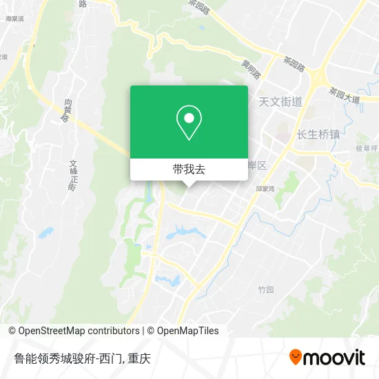 鲁能领秀城骏府-西门地图