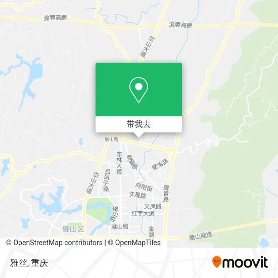 雅丝地图