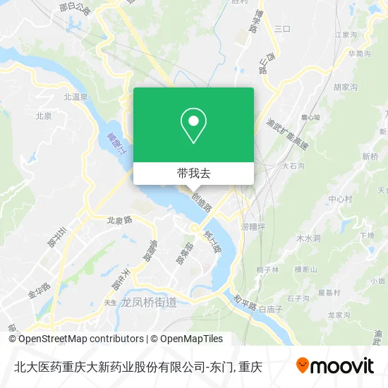 北大医药重庆大新药业股份有限公司-东门地图