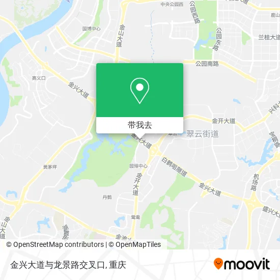 金兴大道与龙景路交叉口地图