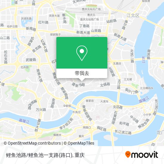 鲤鱼池路/鲤鱼池一支路(路口)地图