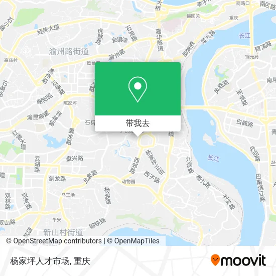杨家坪人才市场地图