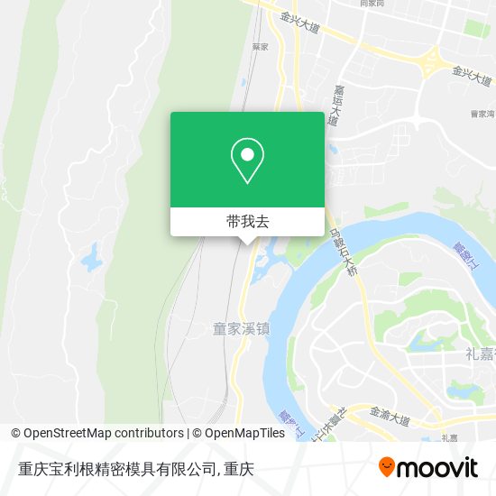 重庆宝利根精密模具有限公司地图
