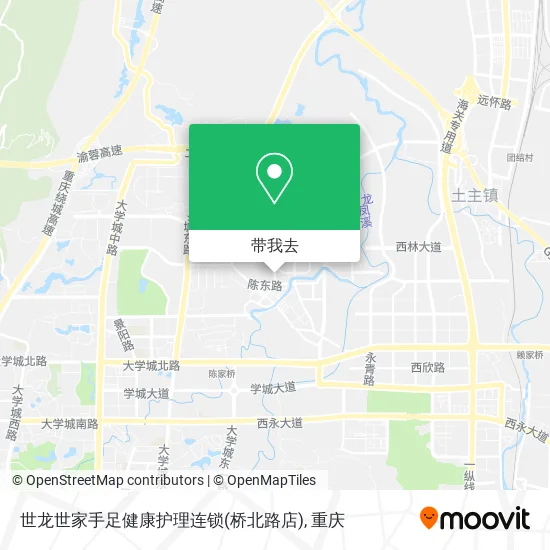 世龙世家手足健康护理连锁(桥北路店)地图