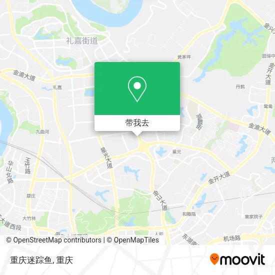 重庆迷踪鱼地图