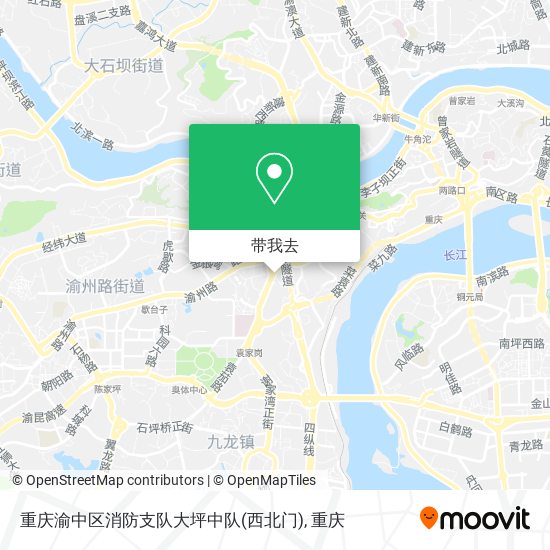 重庆渝中区消防支队大坪中队(西北门)地图
