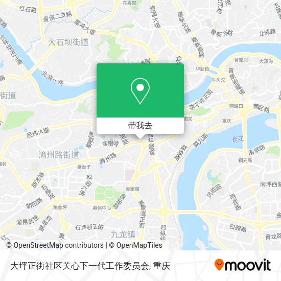 大坪正街社区关心下一代工作委员会地图