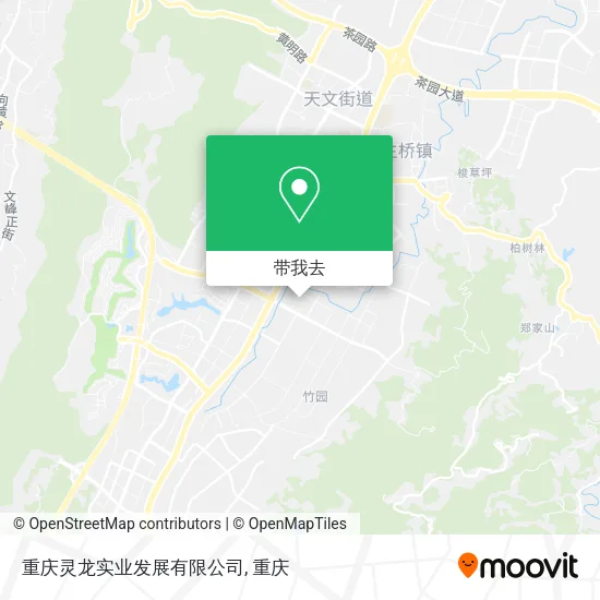 重庆灵龙实业发展有限公司地图