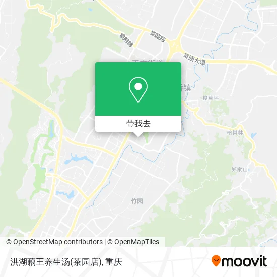 洪湖藕王养生汤(茶园店)地图