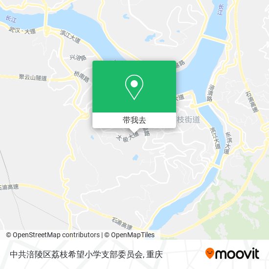 中共涪陵区荔枝希望小学支部委员会地图