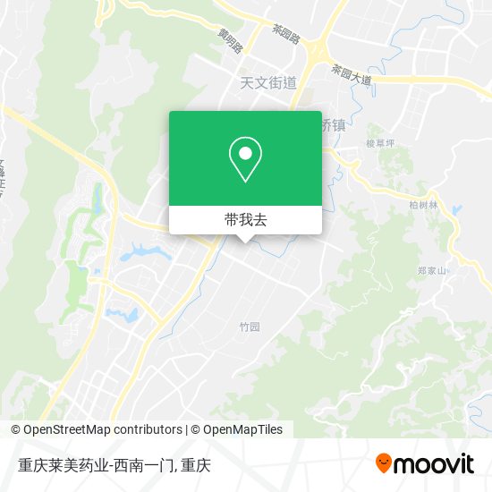 重庆莱美药业-西南一门地图