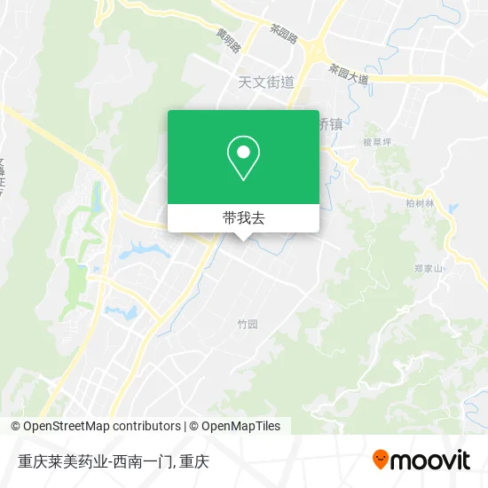 重庆莱美药业-西南一门地图