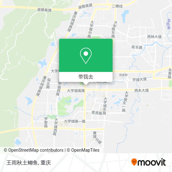 王雨秋土鲫鱼地图