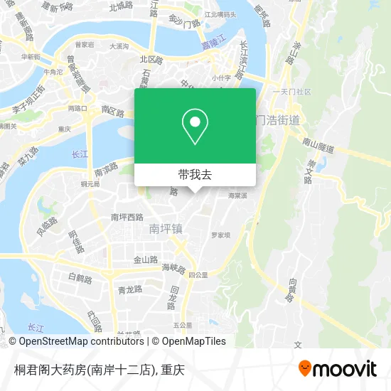 桐君阁大药房(南岸十二店)地图