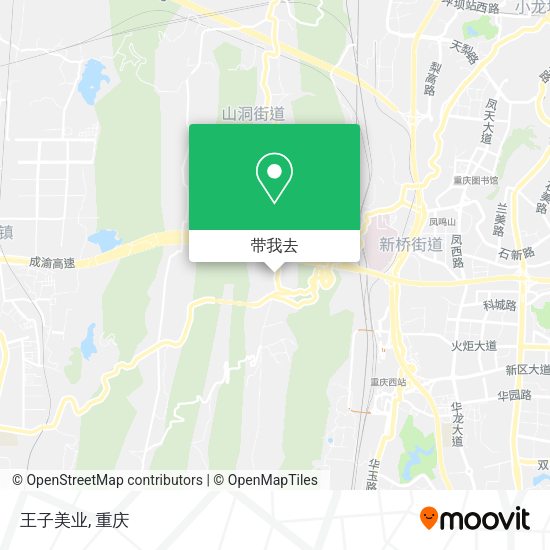 王子美业地图