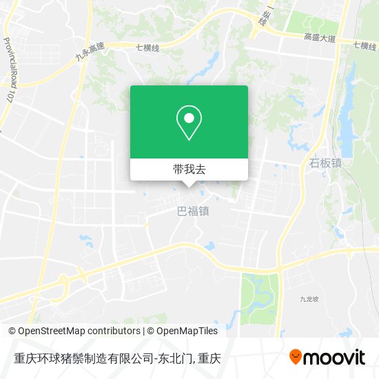 重庆环球猪鬃制造有限公司-东北门地图