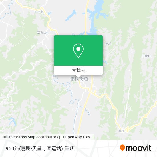 950路(惠民-天星寺客运站)地图
