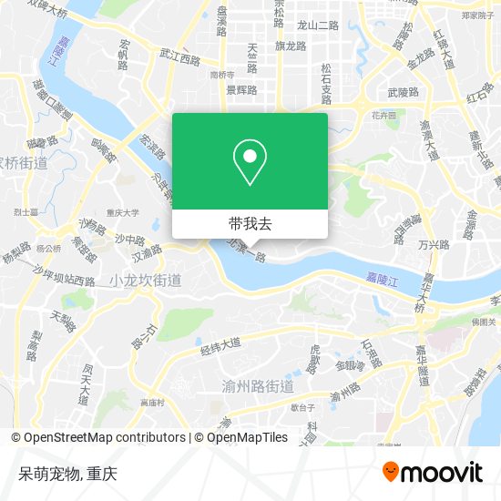 呆萌宠物地图