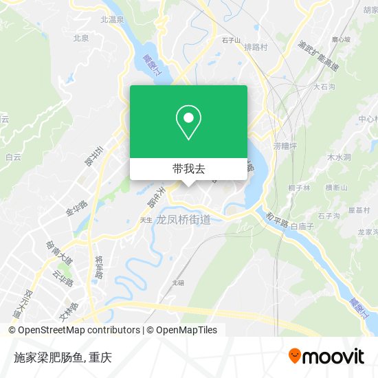 施家梁肥肠鱼地图