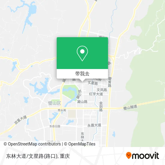 东林大道/文星路(路口)地图
