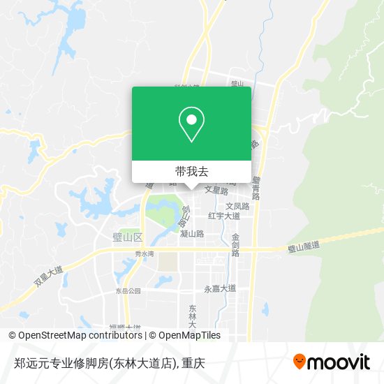 郑远元专业修脚房(东林大道店)地图
