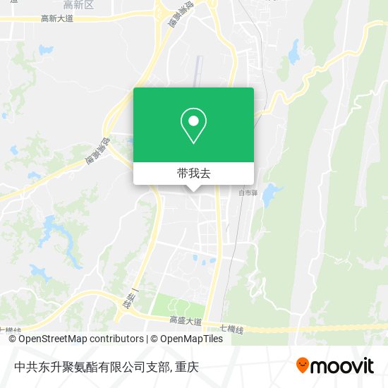中共东升聚氨酯有限公司支部地图
