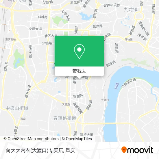 向大大内衣(大渡口)专买店地图
