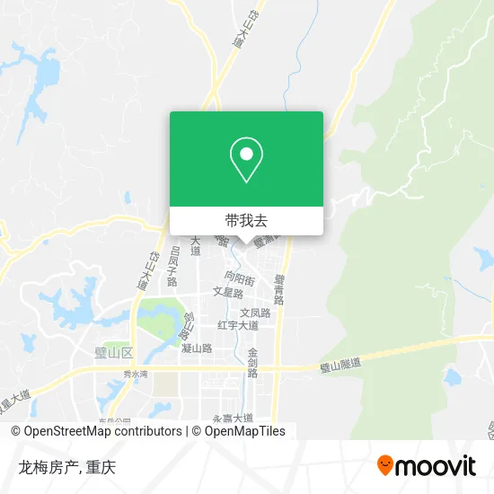 龙梅房产地图