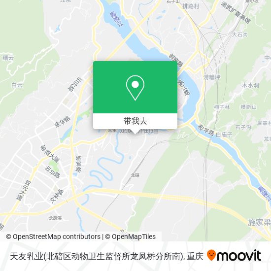 天友乳业(北碚区动物卫生监督所龙凤桥分所南)地图