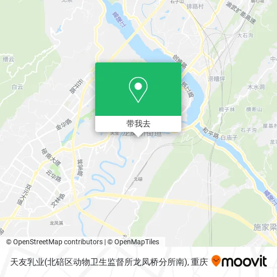 天友乳业(北碚区动物卫生监督所龙凤桥分所南)地图
